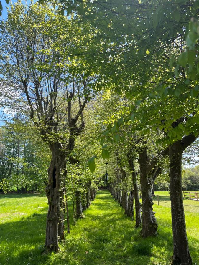 Siorac-en-Périgord Le Bouquet Bleu Bed And Breakfast المظهر الخارجي الصورة