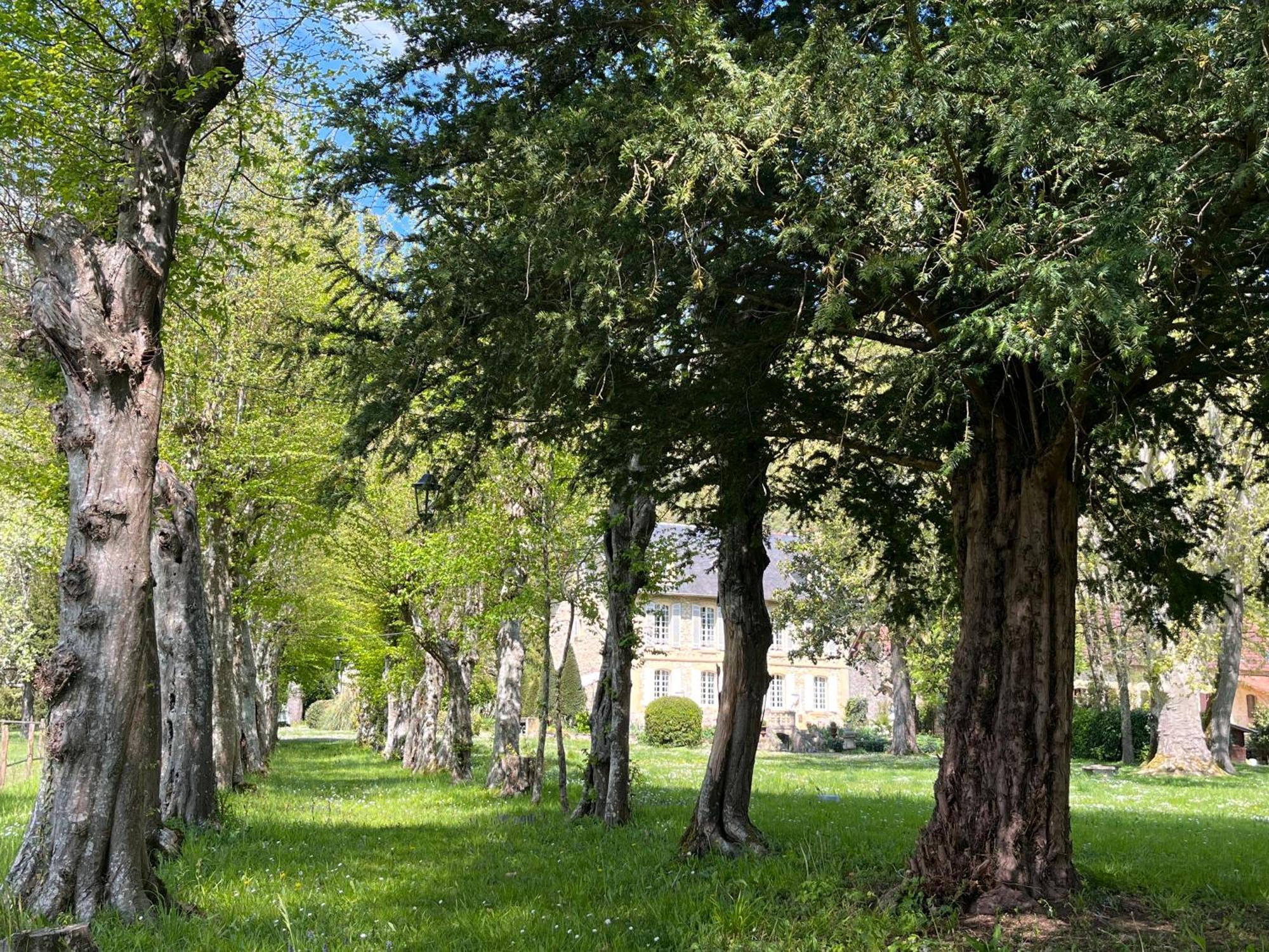 Siorac-en-Périgord Le Bouquet Bleu Bed And Breakfast المظهر الخارجي الصورة