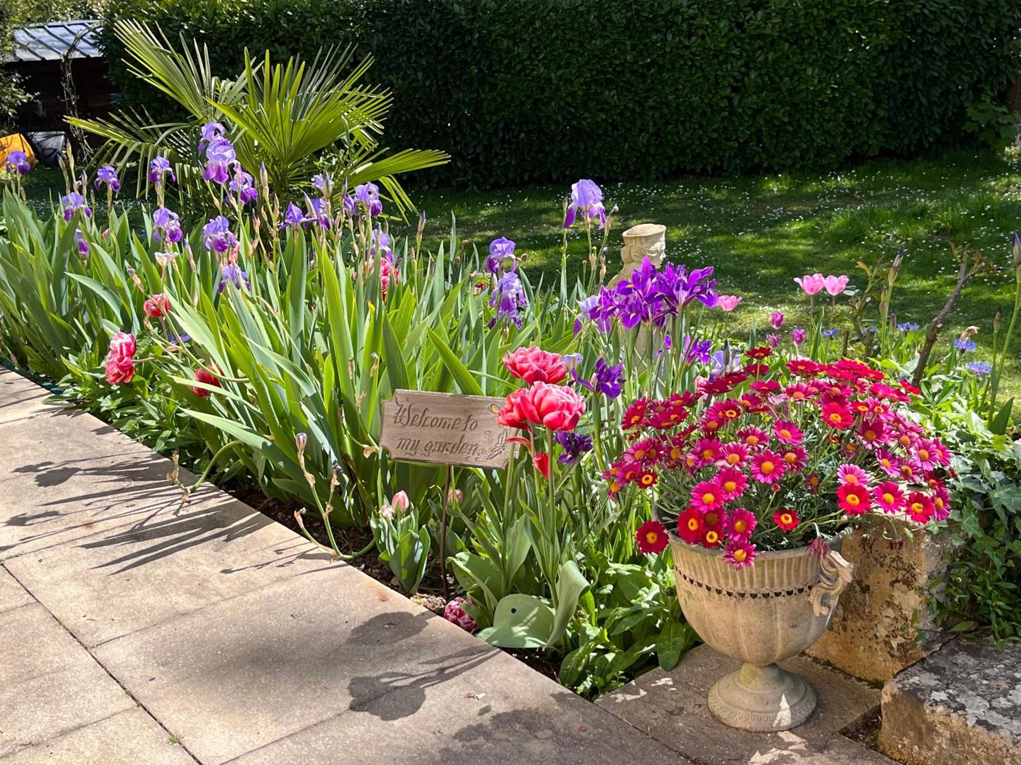 Siorac-en-Périgord Le Bouquet Bleu Bed And Breakfast المظهر الخارجي الصورة